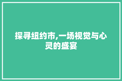 探寻纽约市,一场视觉与心灵的盛宴