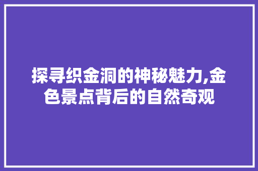 探寻织金洞的神秘魅力,金色景点背后的自然奇观