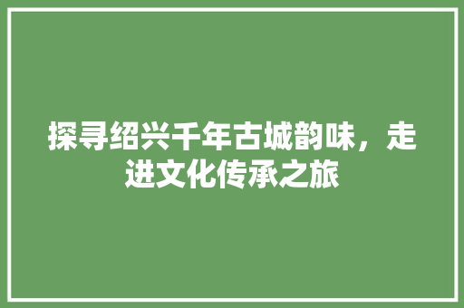 探寻绍兴千年古城韵味，走进文化传承之旅