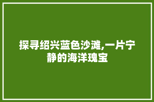 探寻绍兴蓝色沙滩,一片宁静的海洋瑰宝