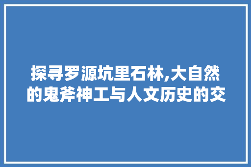 探寻罗源坑里石林,大自然的鬼斧神工与人文历史的交融