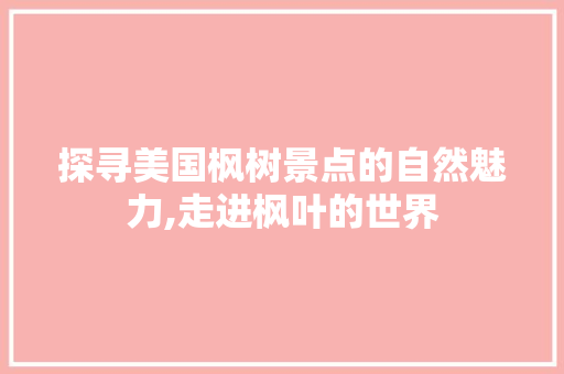 探寻美国枫树景点的自然魅力,走进枫叶的世界