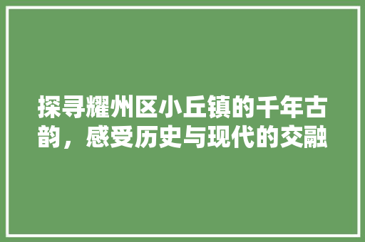 探寻耀州区小丘镇的千年古韵，感受历史与现代的交融