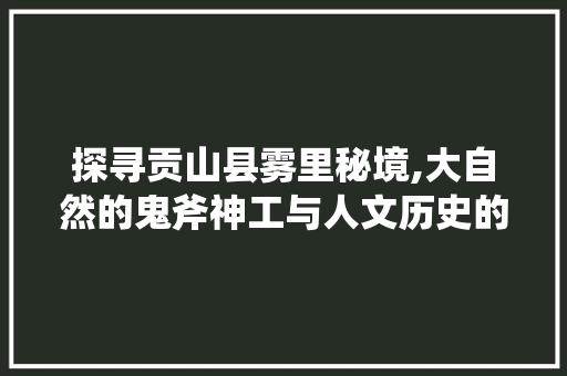 探寻贡山县雾里秘境,大自然的鬼斧神工与人文历史的交融