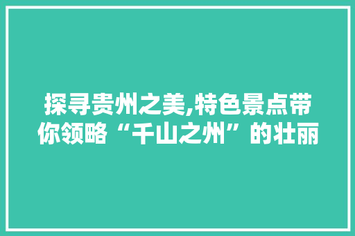 探寻贵州之美,特色景点带你领略“千山之州”的壮丽风光