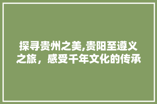 探寻贵州之美,贵阳至遵义之旅，感受千年文化的传承