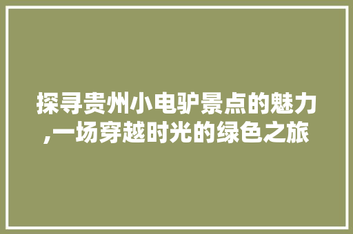 探寻贵州小电驴景点的魅力,一场穿越时光的绿色之旅