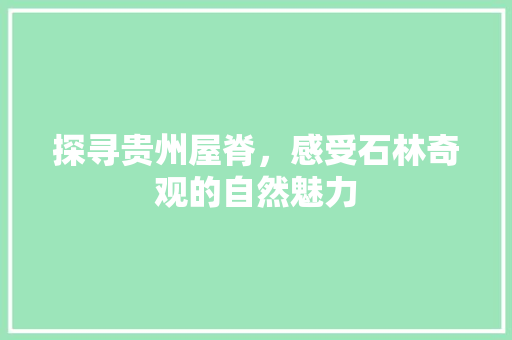 探寻贵州屋脊，感受石林奇观的自然魅力