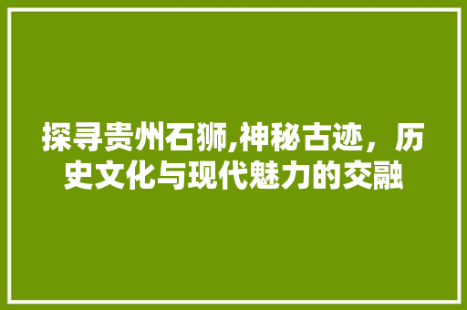 探寻贵州石狮,神秘古迹，历史文化与现代魅力的交融