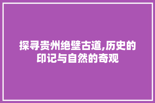 探寻贵州绝壁古道,历史的印记与自然的奇观