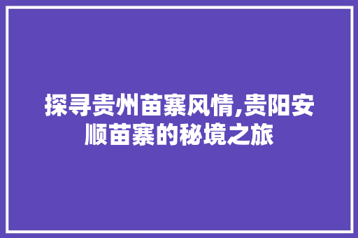 探寻贵州苗寨风情,贵阳安顺苗寨的秘境之旅