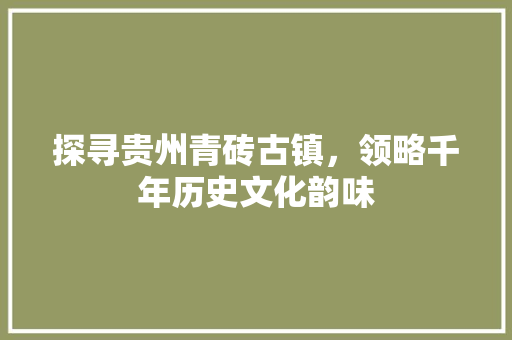 探寻贵州青砖古镇，领略千年历史文化韵味