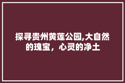 探寻贵州黄莲公园,大自然的瑰宝，心灵的净土