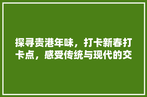 探寻贵港年味，打卡新春打卡点，感受传统与现代的交融