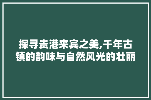 探寻贵港来宾之美,千年古镇的韵味与自然风光的壮丽