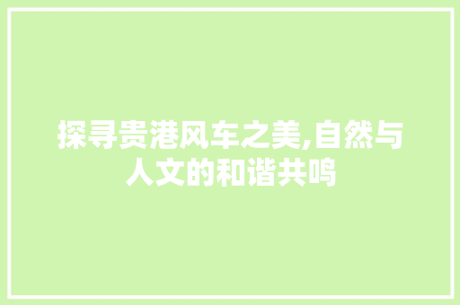 探寻贵港风车之美,自然与人文的和谐共鸣