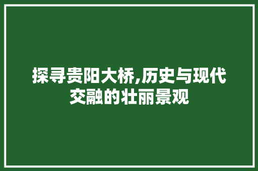 探寻贵阳大桥,历史与现代交融的壮丽景观