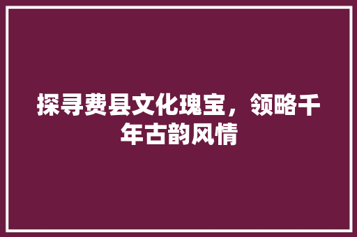 探寻费县文化瑰宝，领略千年古韵风情