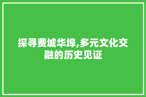 探寻费城华埠,多元文化交融的历史见证