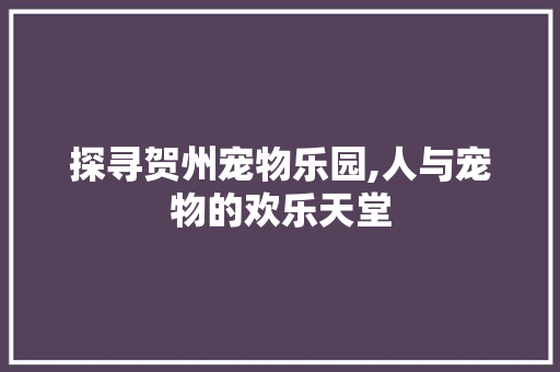 探寻贺州宠物乐园,人与宠物的欢乐天堂