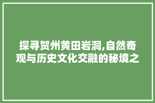 探寻贺州黄田岩洞,自然奇观与历史文化交融的秘境之旅