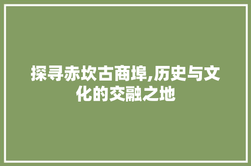 探寻赤坎古商埠,历史与文化的交融之地