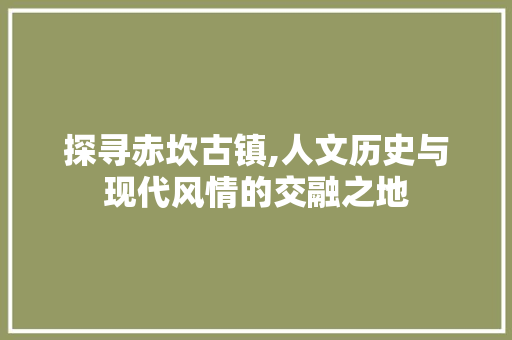 探寻赤坎古镇,人文历史与现代风情的交融之地