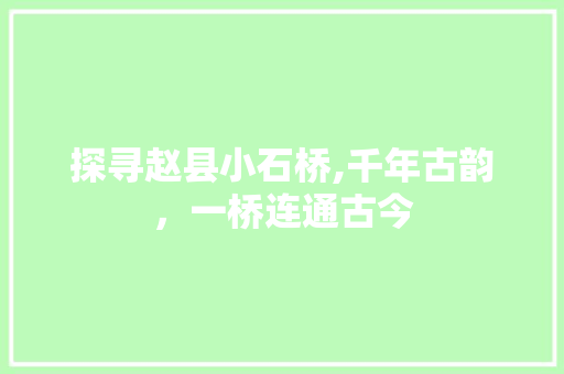 探寻赵县小石桥,千年古韵，一桥连通古今