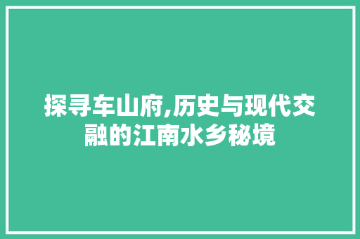 探寻车山府,历史与现代交融的江南水乡秘境