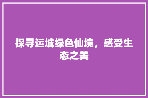 探寻运城绿色仙境，感受生态之美