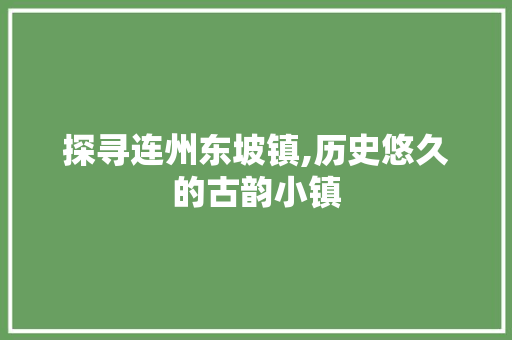 探寻连州东坡镇,历史悠久的古韵小镇