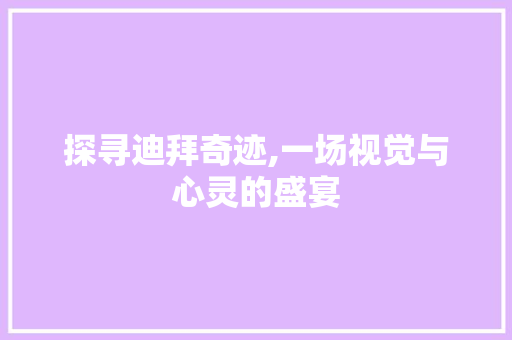 探寻迪拜奇迹,一场视觉与心灵的盛宴