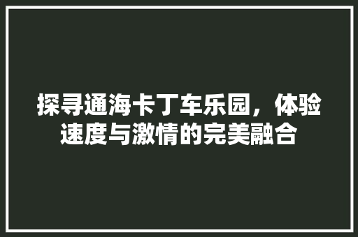 探寻通海卡丁车乐园，体验速度与激情的完美融合