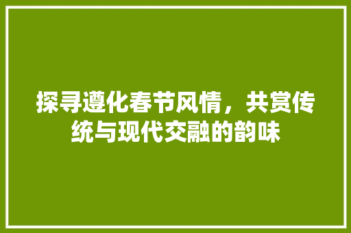 探寻遵化春节风情，共赏传统与现代交融的韵味