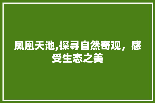 凤凰天池,探寻自然奇观，感受生态之美