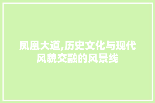 凤凰大道,历史文化与现代风貌交融的风景线  第1张