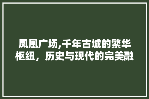 凤凰广场,千年古城的繁华枢纽，历史与现代的完美融合