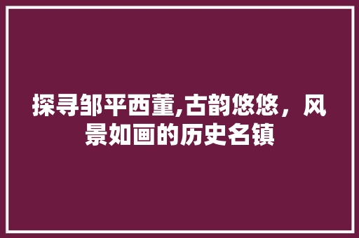 探寻邹平西董,古韵悠悠，风景如画的历史名镇