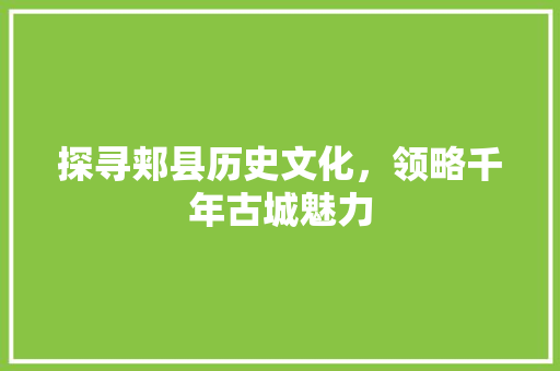 探寻郏县历史文化，领略千年古城魅力