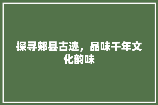 探寻郏县古迹，品味千年文化韵味