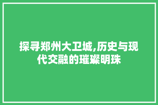 探寻郑州大卫城,历史与现代交融的璀璨明珠