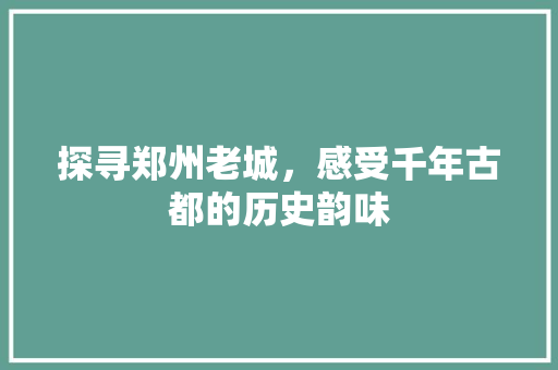 探寻郑州老城，感受千年古都的历史韵味