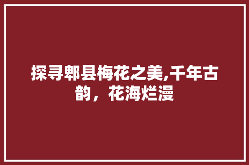 探寻郫县梅花之美,千年古韵，花海烂漫