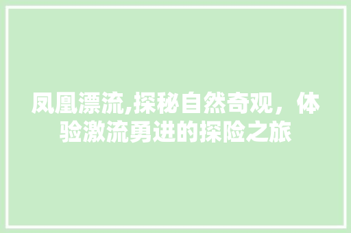 凤凰漂流,探秘自然奇观，体验激流勇进的探险之旅  第1张