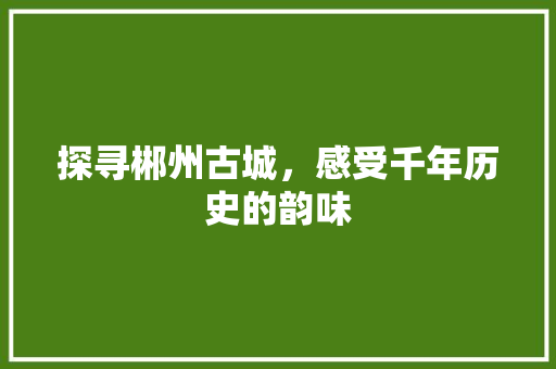 探寻郴州古城，感受千年历史的韵味