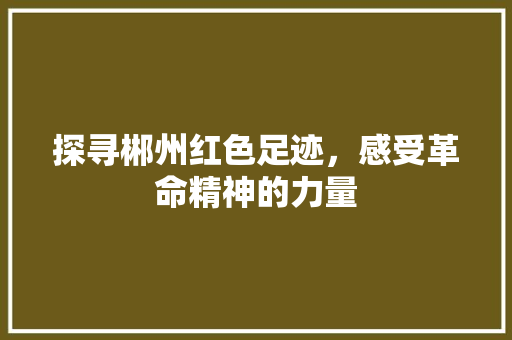 探寻郴州红色足迹，感受革命精神的力量