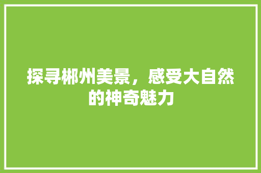 探寻郴州美景，感受大自然的神奇魅力