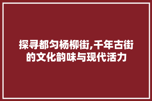 探寻都匀杨柳街,千年古街的文化韵味与现代活力