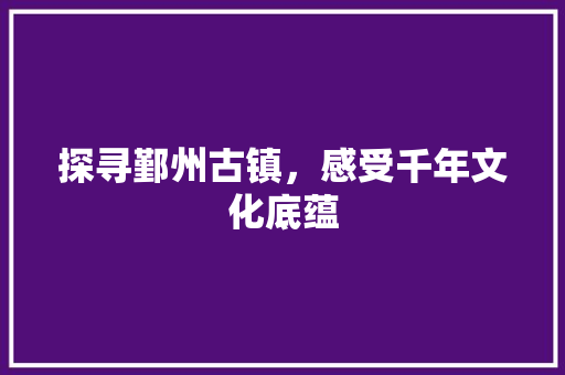 探寻鄞州古镇，感受千年文化底蕴