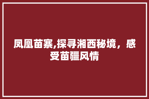 凤凰苗寨,探寻湘西秘境，感受苗疆风情  第1张